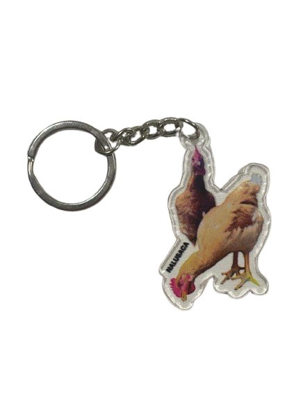 Sophia's Chickens key-holder